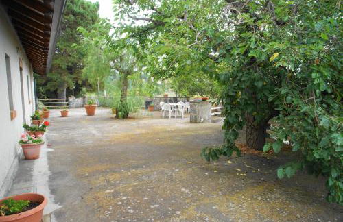 Etna Paradise locazioni brevi - Foto 34