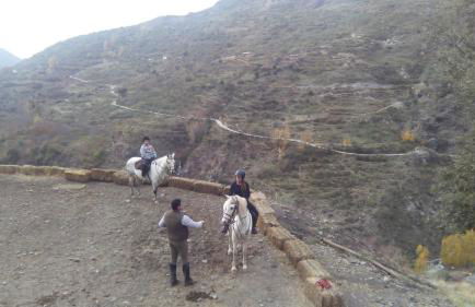 Ruralguejar - Foto 30