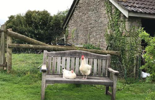 The Bothy at Oak Farm - Foto 10