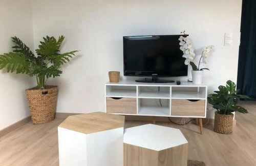 Chez Gustave charmant T2, 4 min place Ducale - Foto 18