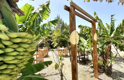 A-Nueva! Magec vip jacuzzi privado - Foto 33