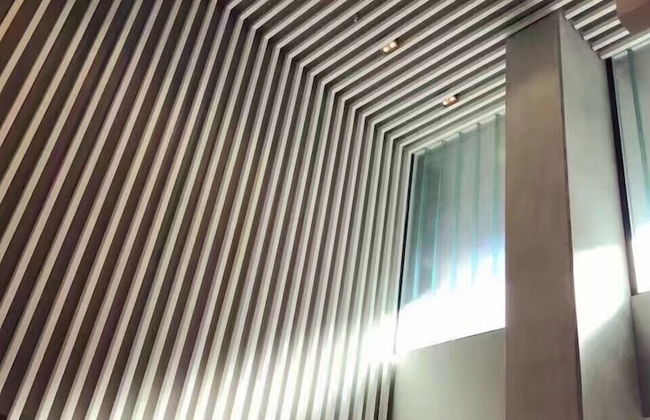 Park view on the City Fringe - Foto 2