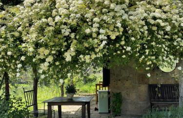 Agriturismo locanda settimo cielo - Foto 5