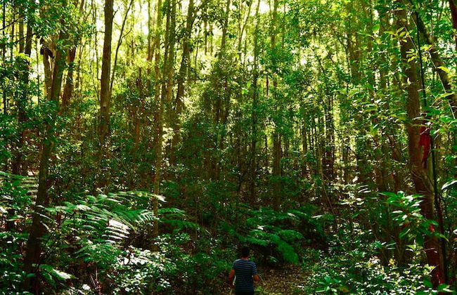 La Rocher Eco Retreat - Foto 60