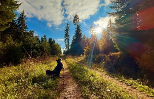 Ferienhaus Robin - Foto 17
