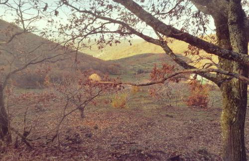 La Casa de Abajo - Photo 39