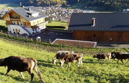 Ferienwohnungen Kuentnerhof - Foto 54