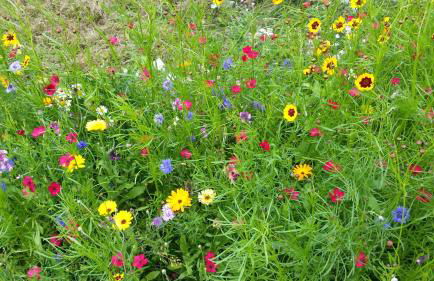 Ferienwohnung beim Bracksee - Photo 20