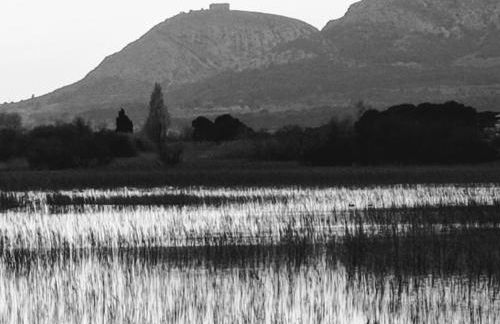 Escapada a l'Estartit - Argonavis - Foto 44