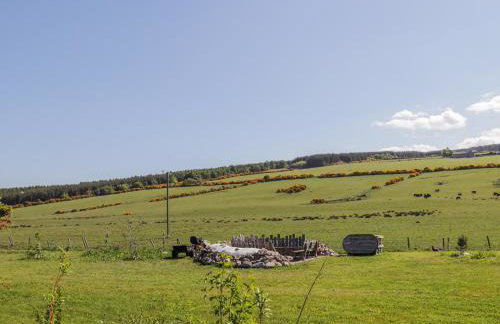 Easter Blervie - Foto 20