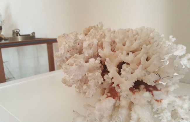 Captain's Luxury Suite - Photo 39