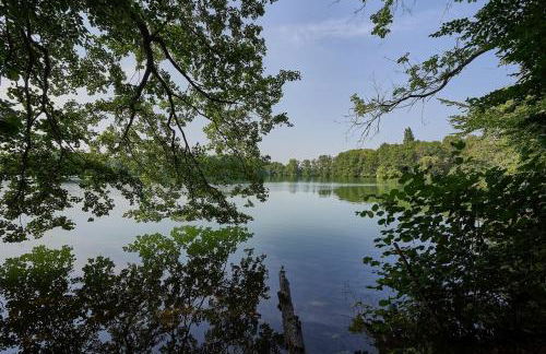 Ferienwohnung am Markt - Foto 17
