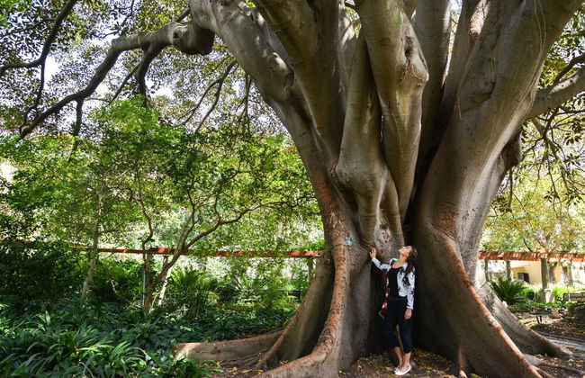 More Quarters Hotel - Photo 33