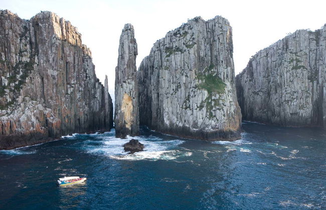 Giro in barca all'isola Tasman - Foto 4