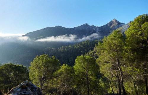 La Casa De La Abuela Clotilde - Photo 54