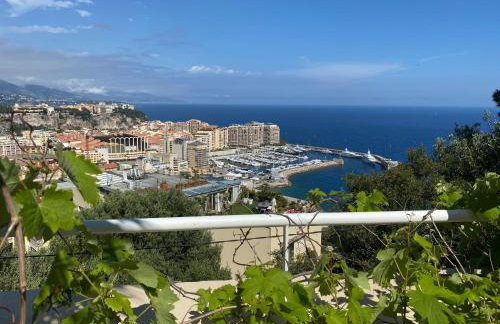 Appartement 3 chambres 130 m2 vue mer avec piscine Cap d'Ail Monaco - Foto 21