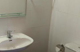 Ape Esquerdo - Foto 15