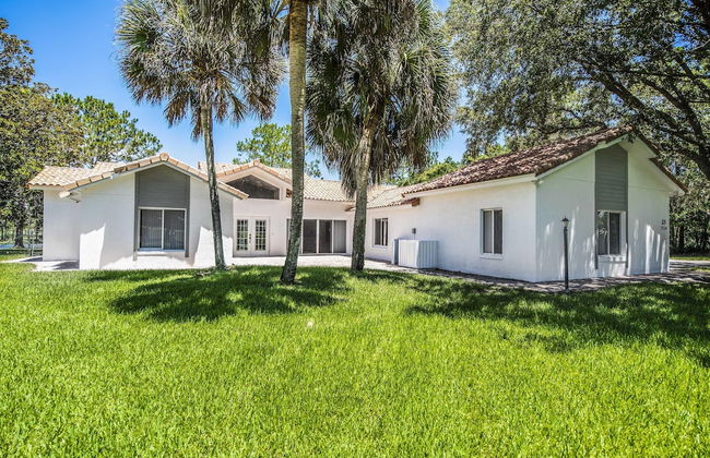 Swiss 23 - Lake Stephanie - Foto 3