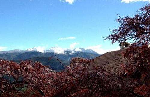 Millenniumshof - Foto 41