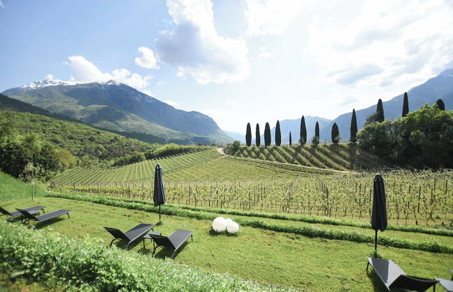 Agritur Casteller - Foto 76