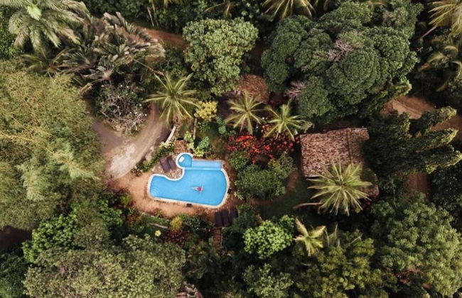 Whispering House - Photo 8