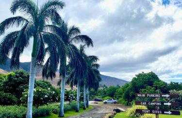 Campervan/Maui hosted by Go Camp Maui - Photo 6