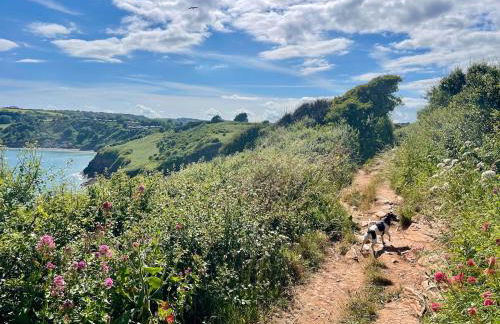 Seascape at Landscove Holiday Park, Brixham - Foto 24