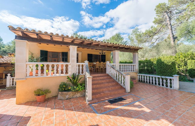 Els Pins in Sa Pobla - Foto 28