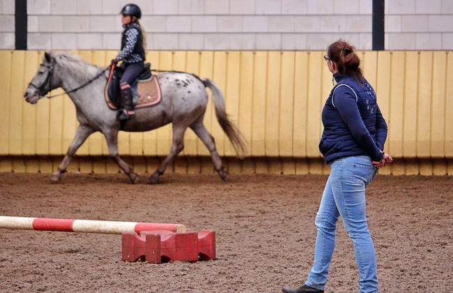 Cozy Forest-edge Home - Foto 15