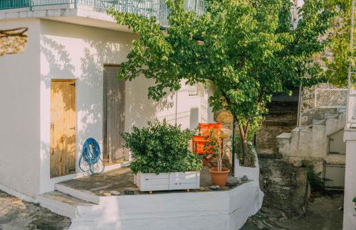 The apricot tree studio - Foto 25