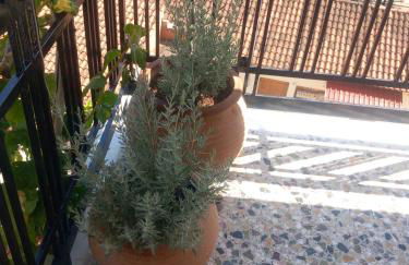 Elmar Mosaic Suites - Foto 7