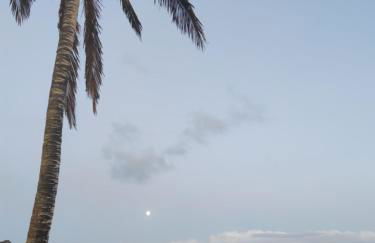 Casas Rurales El Serrillal - Foto 51