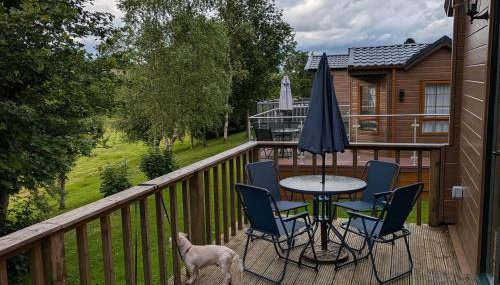 Pet Friendly - Lodge at Riverview Holiday Park - Foto 5