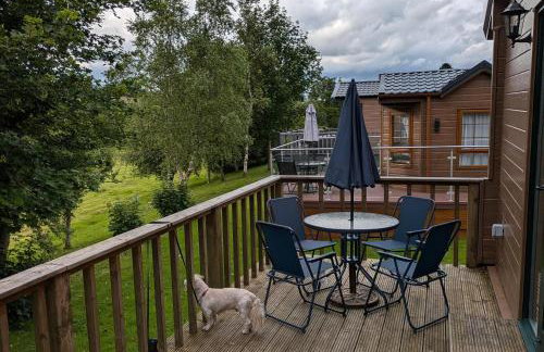 Pet Friendly - Lodge at Riverview Holiday Park - Foto 5