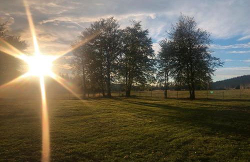 Altes Forsthaus Königskrug - Foto 13