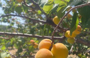 Aegean Endless Summer Villa Pefkos - Foto 70