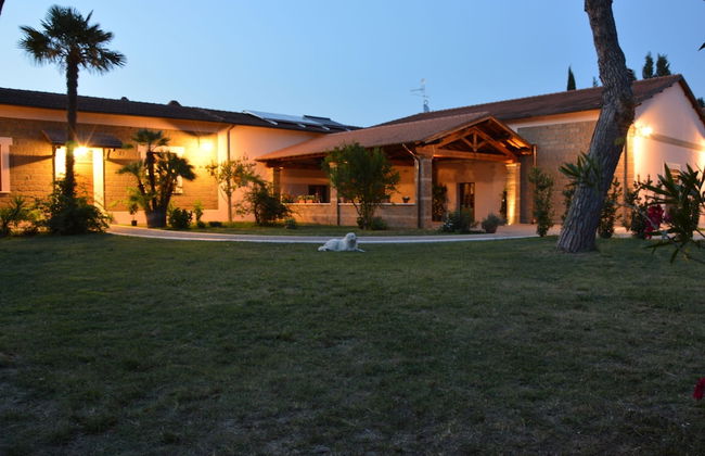 Fattoria Lucciano - Foto 54