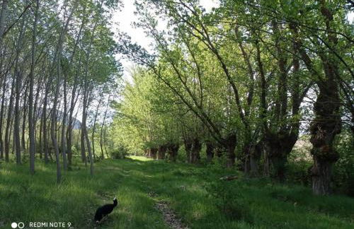 Vistas Del Maestrazgo apartamentos Rurales - Foto 20