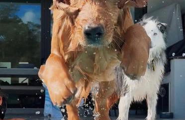 PRIMERA LINEA DE PLAYA con garaje - Foto 13