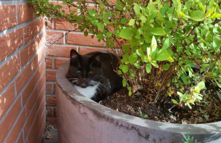 Ferienwohnung Beans - Photo 6