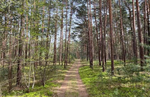 Ferienhaus Fjola - Photo 30