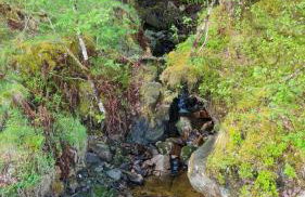 Thistle House Guest House - Foto 76