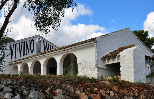 Alicante Premium Wine - Tour Privado - Foto 2