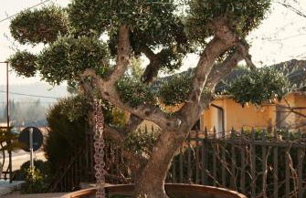 WELCOME TRAVELLER FRIDA's APARTMENt - Foto 43