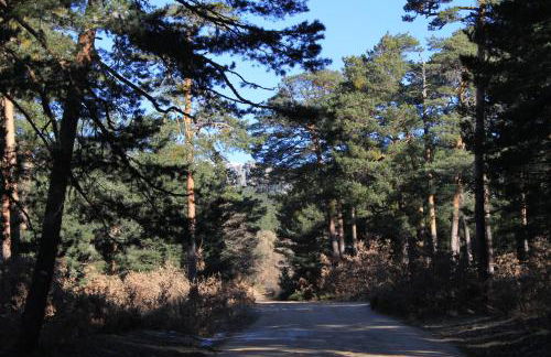 Eco Urbión - Foto 89