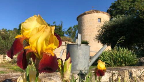 Domaine Léa Chanflaur - Spa - Le moulin de la jalousie - Foto 3, Garden, Garden view
