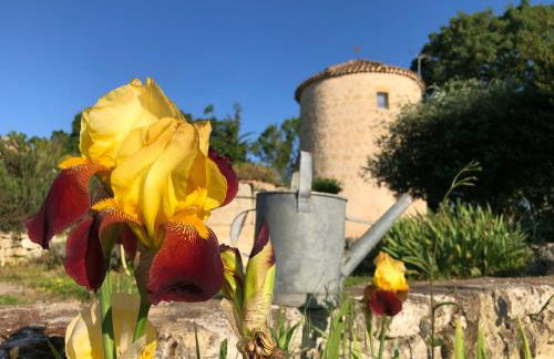 Domaine Léa Chanflaur - Spa - Le moulin de la jalousie - Foto 3