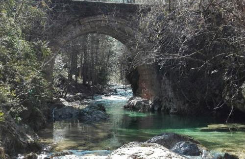 Apartamento Las Tortugas - Foto 2