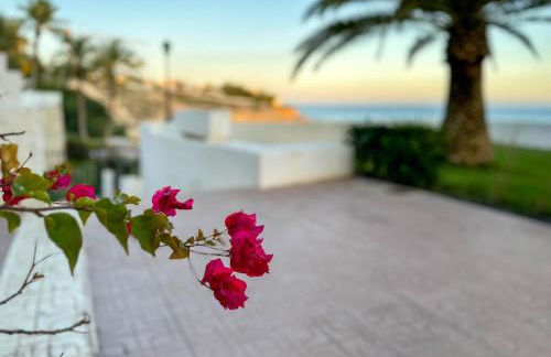 Orilla de Mar: Vistas de ensueño en Cala Almadraba - Photo 19
