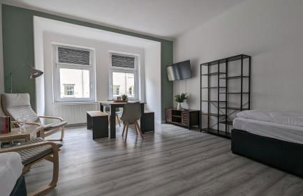 Sali-Homes Boarding Haus Monteur-Wohnungen Balkon Vollküche Autobahnähe - Photo 16